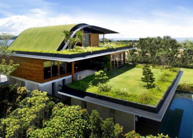 Arquitetura_ como criar um telhado verde_